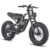 Fafrees F20 Ultra Electric Cargo Bike